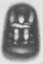   " ". 1982. , . 1416.