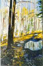 ,  , 4025, ., . 1996